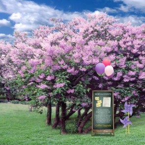 Nature Photography Backdrops Purple Flower Tree Lawn Background