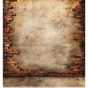 Photography Background Grey White Grunge Dilapidated Brick Wall Backdrops