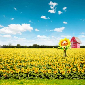 Nature Photography Backdrops Blue Sky White Clouds Sunflower Background