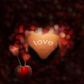 Photography Background Red Love Valentine's Day Sequin Backdrops
