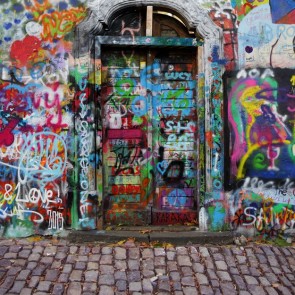 Graffiti Photography Backdrops Door Graffiti Background For Photo Studio
