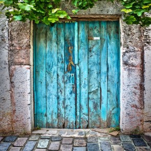 Door Window Photography Backdrops Blue Wooden Door Greenery Background