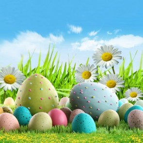 Photography Background Eggs Easter White Flowers Blue Sky White Clouds Backdrops