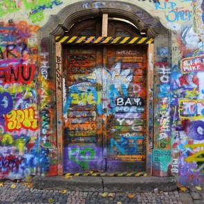 Graffiti Photography Backdrops Old Wooden Door Background For Photo Studio