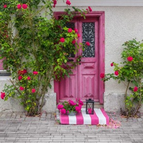 Door Window Photography Backdrops Pink Door Greenery Brick Floor Background