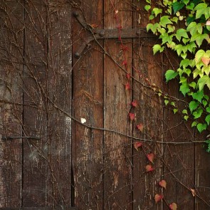 Photography Background Green Leaves Ivy Brown Wood Floor Backdrops