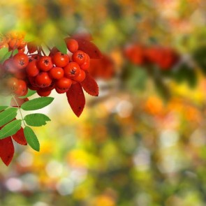 Nature Photography Backdrops Green Vegetation Red Fruit Sequin Background