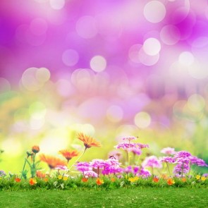 Bokeh Photography Background Purple Flowers Grass Backdrops