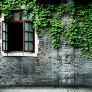Door Window Photography Backdrops Grey Brick Wall Window Ivy Background
