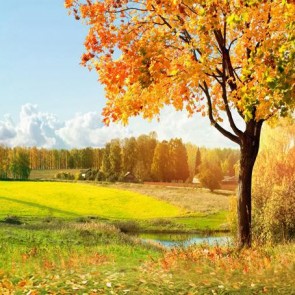Nature Photography Backdrops Country Farmland Autumn Golden Leaves Background