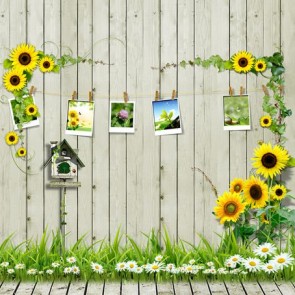 Photography Background Sunflower White Flowers Wood Floor Backdrops