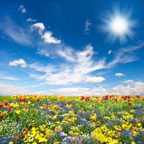 Nature Photography Backdrops Flower Sea Blue Sky Background