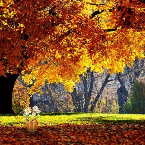 Nature Photography Backdrops Golden Maple Leaf Lawn Background