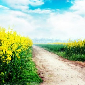 Nature Photography Backdrops Yellow Rapeseed Path Blue Sky Background