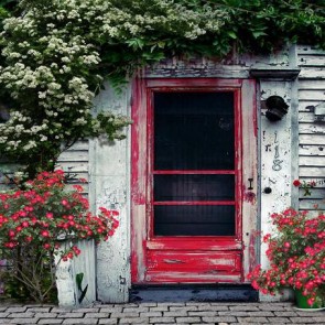 Door Window Photography Backdrops Dilapidated Door Pink Flowers Green Leaves Background