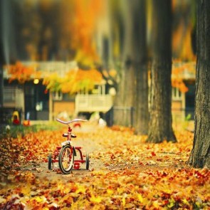 Nature Photography Backdrops Golden Leaves Kids Car Background