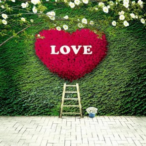 Photography Backdrops White Flowers Red Petals Heart Shape Valentine's Day Green Background