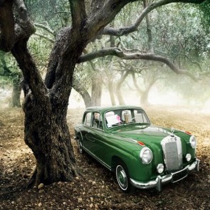 Car Photography Background Big Tree Green Old Car Backdrops