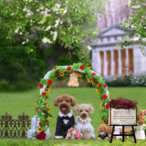 Wedding Photography Backdrops Lawn Dog Flower Door Background For Party