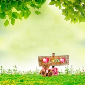 Photography Background Green Leaves Valentine's Day Grass Yellow Flowers Backdrops