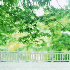 Nature Photography Backdrops White Fence Green Maple Leaf Background