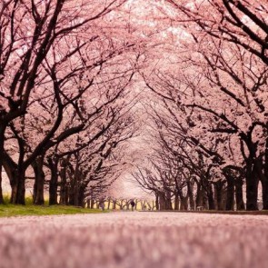 Flowers Photography Background Cherry Blossom Corridor Backdrops