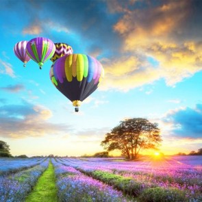 Nature Photography Backdrops Fire Balloon Lavender Blue Sky Background