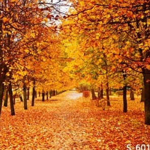 Nature Photography Backdrops Golden Leaves Trees Autumn Background