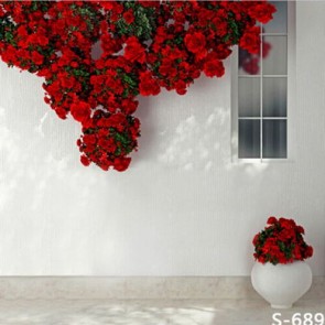 Door Window Photography Backdrops Red Roses Window White Wall Background
