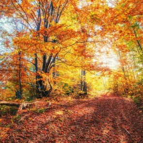 Maple Leaf Trees Photography Backdrops Autumn Jungle Background