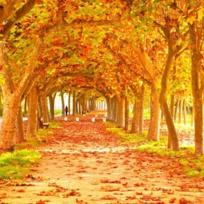 Red Leaves Photography Backdrops Autumn Path Trees Background