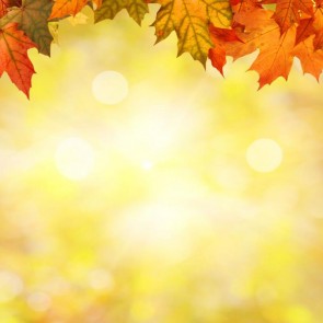 Maple Leaf Photography Backdrops Golden Bokeh Autumn Background