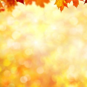 Golden Maple Leaf Bokeh Photography Backdrops Autumn Background