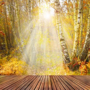 Poplar Wood Floor Sunlight Photography Backdrops Autumn Background