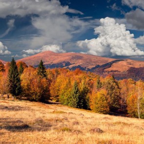 Clouds Hills Jungle Autumn Photography Background Backdrops For Photo Studio