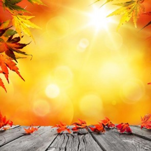 Photography Background Maple Leaf Sunlight Autumn Wood Floor Backdrops