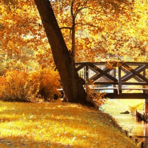 Photography Background Wooden Bridge River Golden Leaves Autumn Backdrops