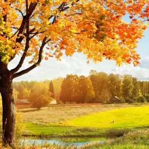 Photography Background Golden Leaves Lake Autumn Backdrops