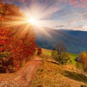 Photography Background Sunshine Sunset Red Leaf Hills Autumn Backdrops