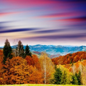 Photography Backdrops Sunset Hills Jungle Golden Leaves Autumn Background