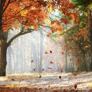 Photography Backdrops Red leaves Fog Jungle Trees Autumn Background