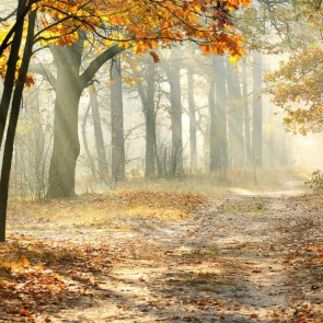 Photography Backdrops Golden Leaves Fog Jungle Autumn Background