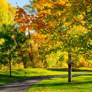 Photography Backdrops Green Golden Leaves Path Autumn Background