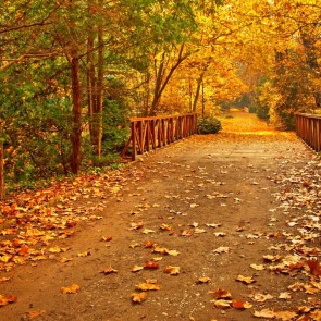 Autumn Photography Background Yellow Leaves Wooden Bridge Backdrops