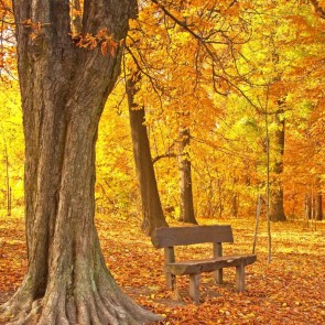 Autumn Photography Background Deciduous Trees Yellow Leaves Backdrops