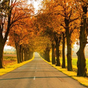 Autumn Photography Background Trees Golden Leaves Road Backdrops