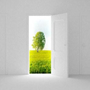 Photography Backdrops White Door Prairie Tree Abstract Background