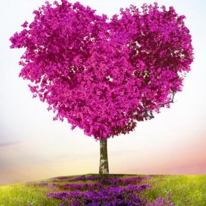 Photography Background Love Tree Purple Flowers Abstract Backdrops
