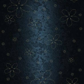 Texture Style Photography Background Black Dark Blue European Backdrops