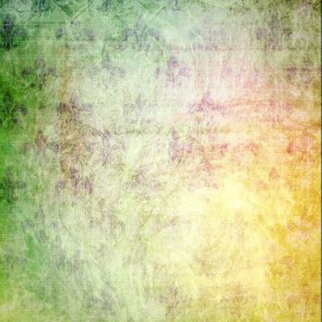 Green White Photography Backdrops Old Texture Style Background For Photo Studio